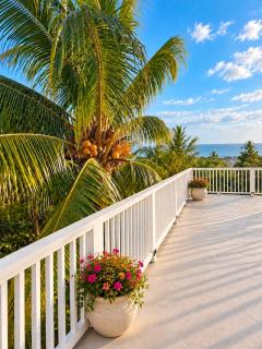 Lush & Beauty Tropical Retreat - 9