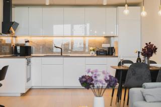 BNB SkyPark apartment with garage - 7