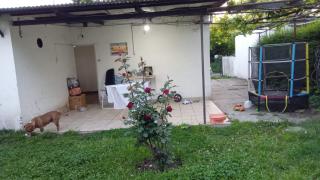 Casa Roux Exclusivo PAPA 2026 - 3