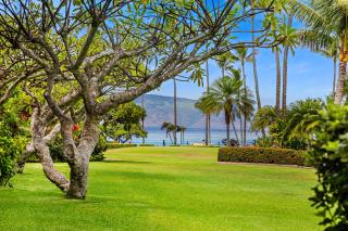Napili Shores F145 - 8