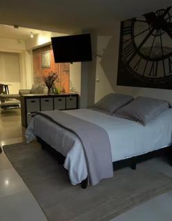 Polanco Exclusivo Loft - 9