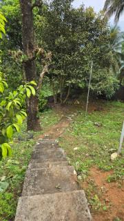 Valleyview homestay - 7
