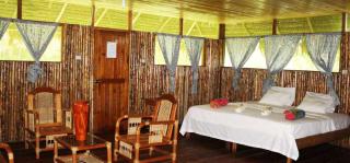 Amazon Jungle Lodge - 8
