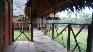 Amazon Jungle Lodge - 2