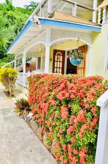 Aqua on Bequia - 8