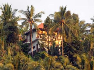 Beautiful jungle cottage - 0