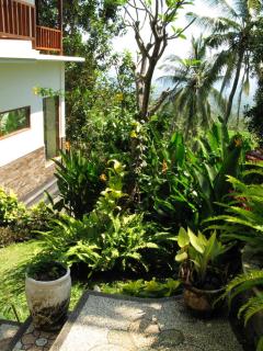 Beautiful jungle cottage - 1