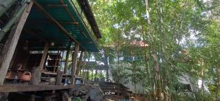Napahong Treehouse forest camp - 3