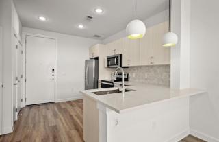 Ellis Highline 301 - 8