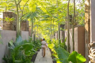 Ubud Mas Glamping Luxury Tent - 8