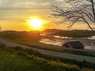 4 star holiday home in Bjarkøy - 9