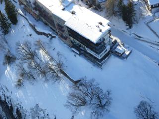 Hotel Alpina - Mürren - 3