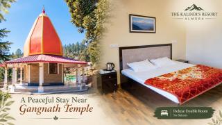 The Kalindi's Resort, Almora - 8