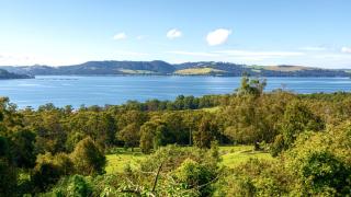 Waterview Gardens B&B - 6
