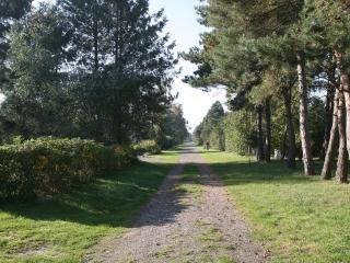 4 star holiday home in Rødby - 4