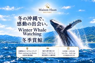 Maison Haan Motobu - 6