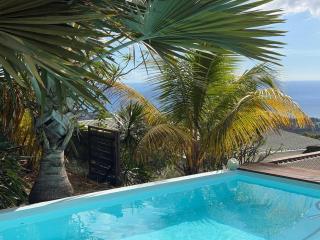 Villa du Ruisseau - piscine privée - vue mer - 8