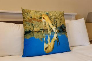 Springbok Cottage - 3