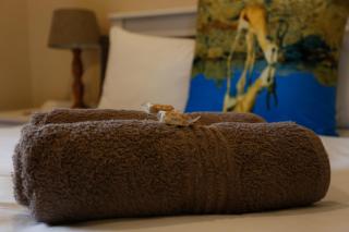 Springbok Cottage - 4