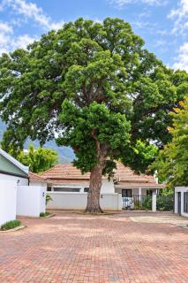 Springbok Cottage - 0