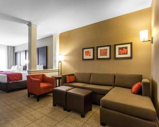 Comfort Suites-Youngstown North - 5