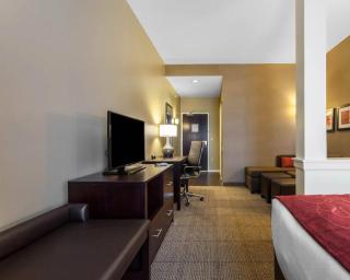 Comfort Suites-Youngstown North - 1
