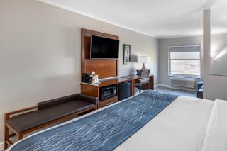 Comfort Suites St Louis - Sunset Hills - 6