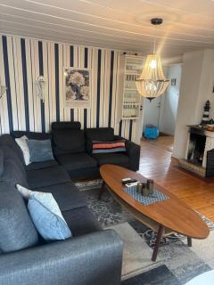 Nice child-friendly house 200m from beautiful beach,near Kullaberg - 3
