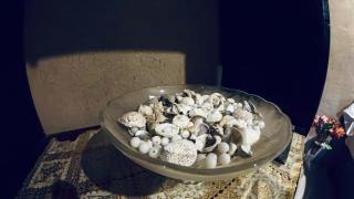 bakkar guset house - 6
