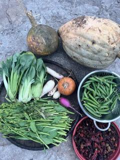 The Sribadam Valley Farmstay - 6