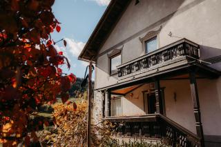 Ferienwohnungen Lobmingerhof - 5