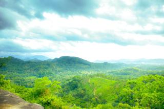 The Forest Villa -Nature & Mountain trails - 5