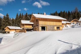 Lerchpeuntgut Almchalets - 8