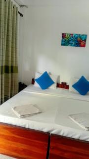 Transit Budget Hotel Katunayake - 5