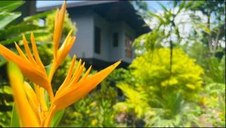 Kumbura Garden Eco Cabana - 9