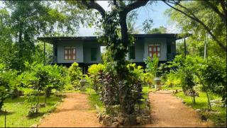 Kumbura Garden Eco Cabana - 4