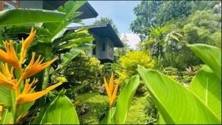 Kumbura Garden Eco Cabana - 0
