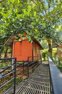 Highland Escape 1BRCottage B Wayanad by Homeyhuts - 4