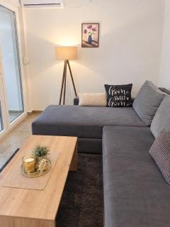Apartman Djina - Banja Koviljaca - 1