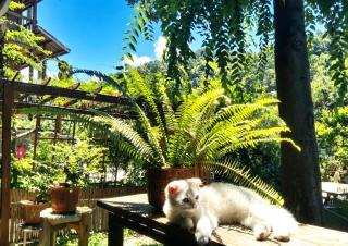 Miwu Homestay - 9