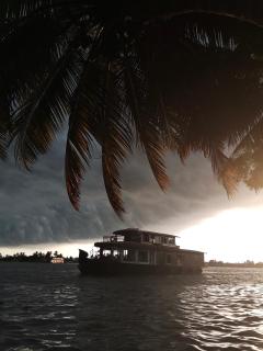 Hostel Birdwatching and kaya king - Alleppey - 1