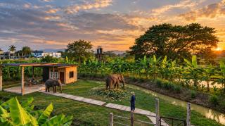 Pang Dee Dee Elephant Villa - 2