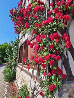 Au Fil du Bec : Gîte avec jardin - Centre village - 7