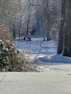 The Terwa - Nordic Hideaway - 7