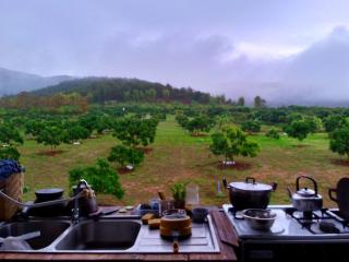 Napahong Treehouse forest camp - 7