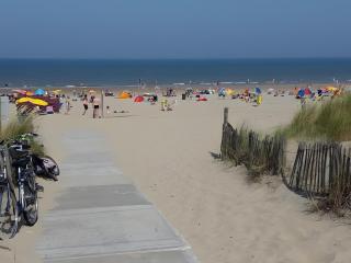 Duinnest - 3