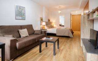 Charming Studio with Mountain View in Arinsal - 40m² - 5