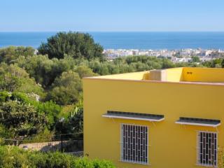 Charming House near the Sea in Torre Pali. - 2