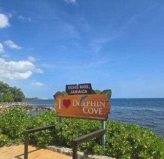 Modern Luxe Escape for 2 Mins to Ocho Rios Twn - 4