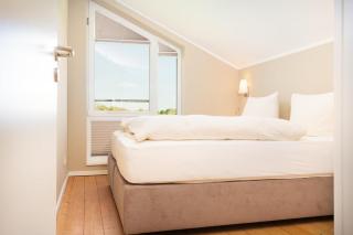 Haus-Buche - 3